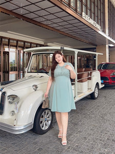 Justine Lyocell Dress in Green