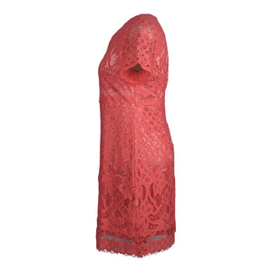 Claire Lace Dress in Coral 