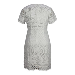 Claire Lace Dress in White 